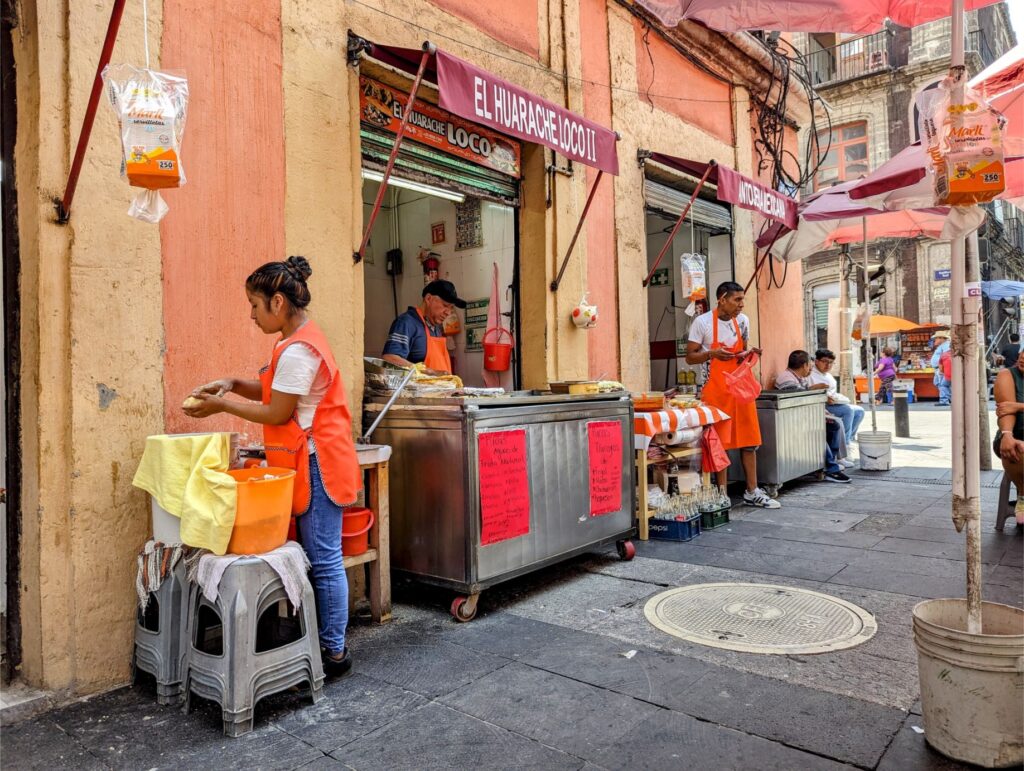mexico city two travel turtles