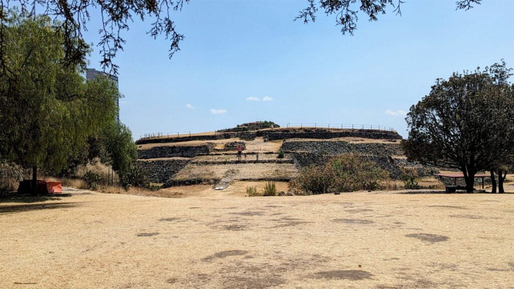 month in mexico city two travel turtles