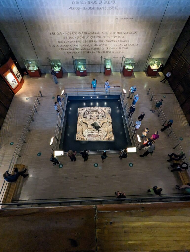 month in mexico city two travel turtles