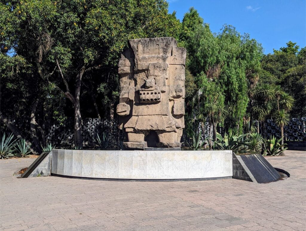 month in mexico city two travel turtles