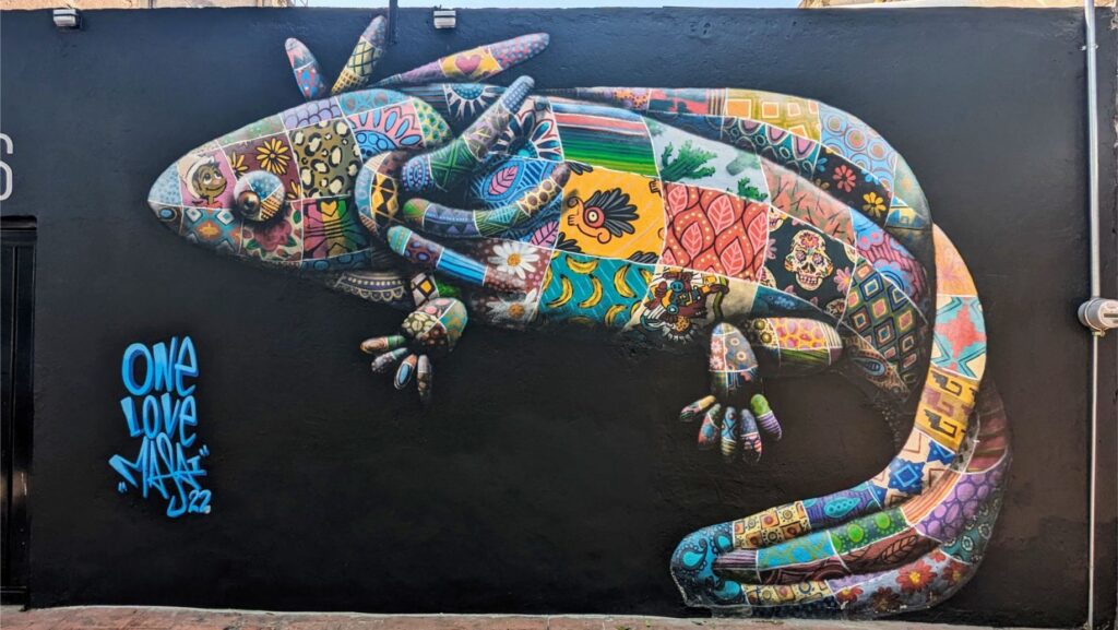 mexico city two travel turtles