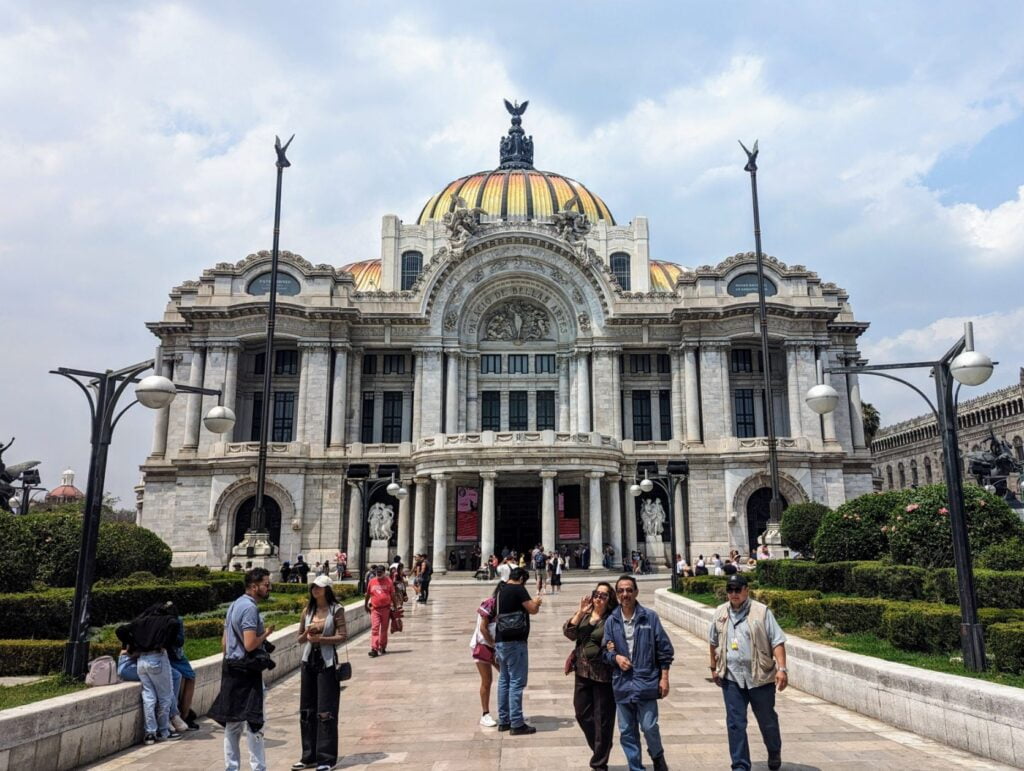 mexico city two travel turtles