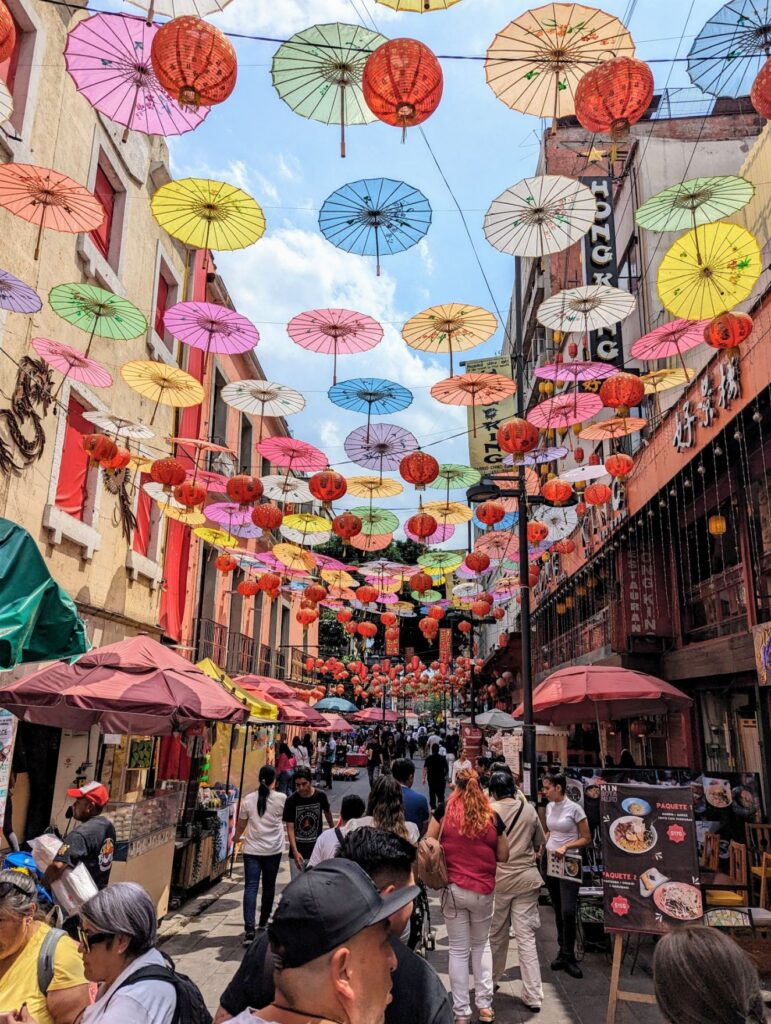 mexico city two travel turtles