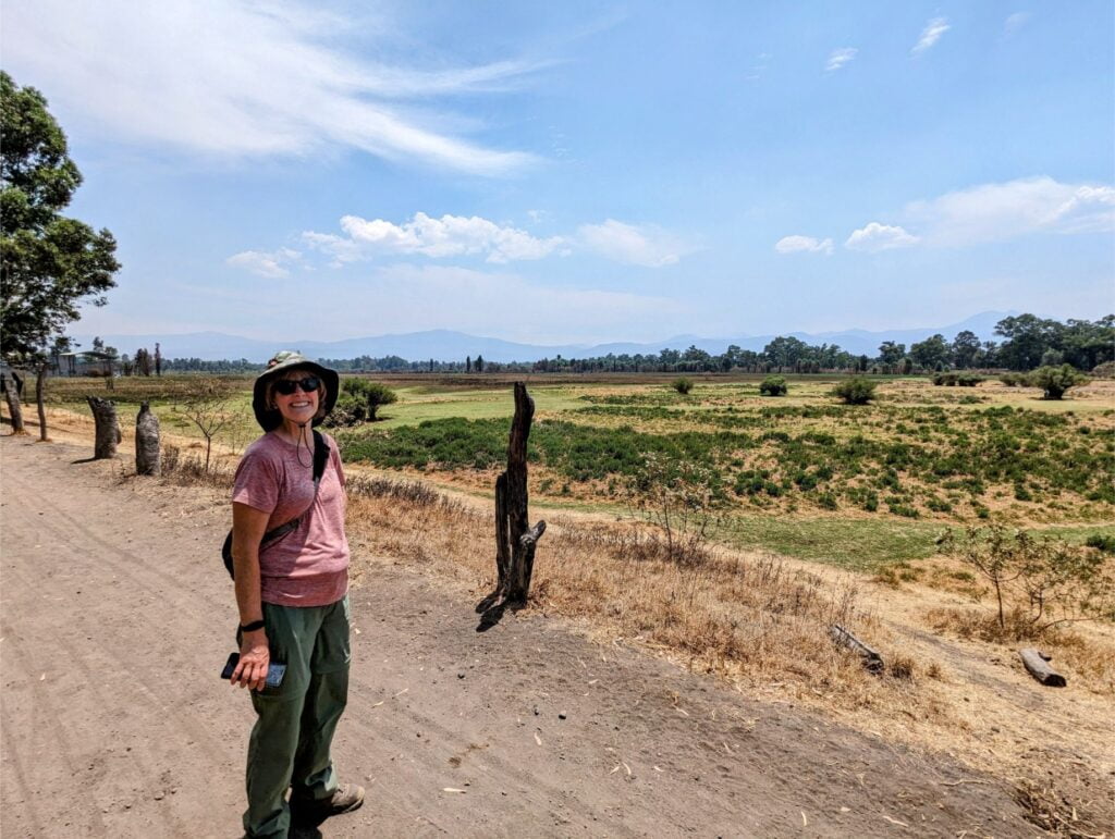 month in mexico city two travel turtles