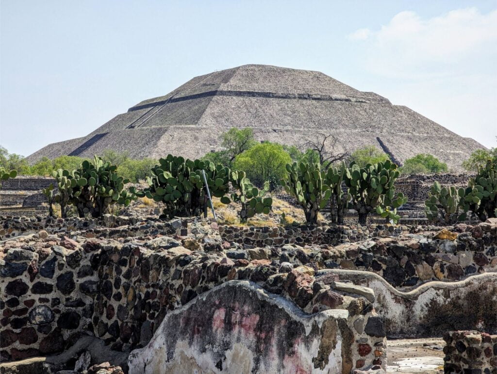 month in mexico city two travel turtles