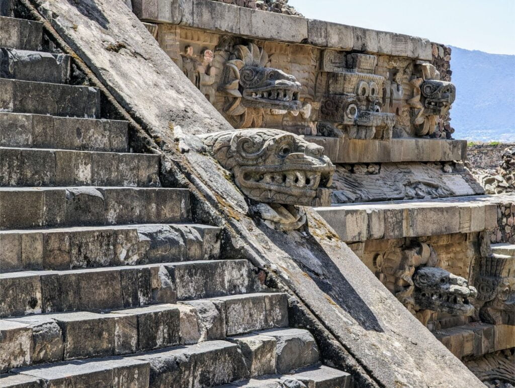 month in mexico city two travel turtles