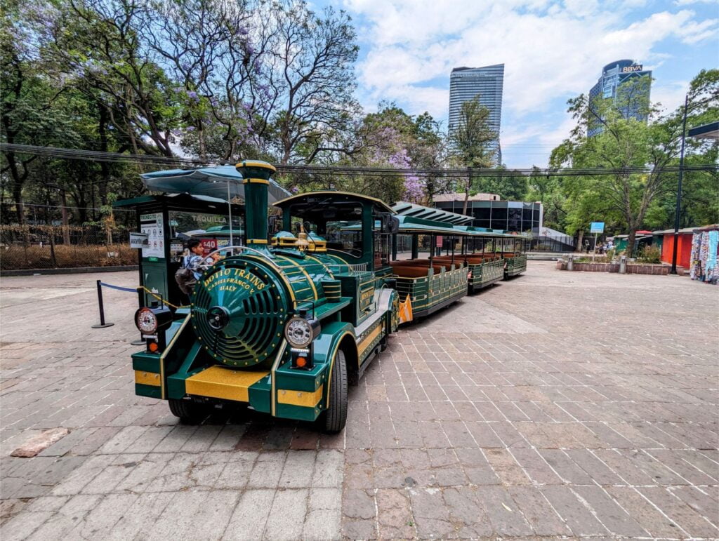 month in mexico city two travel turtles