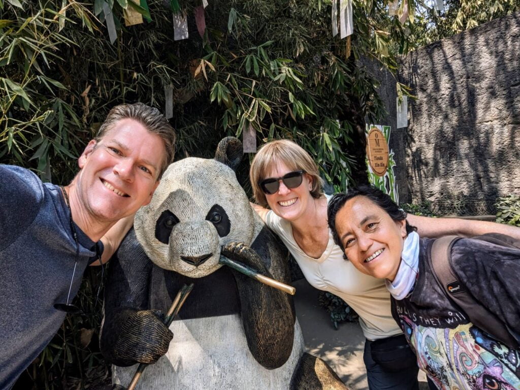 month in mexico city two travel turtles