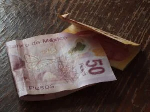 march 2024 budget two travel turtles