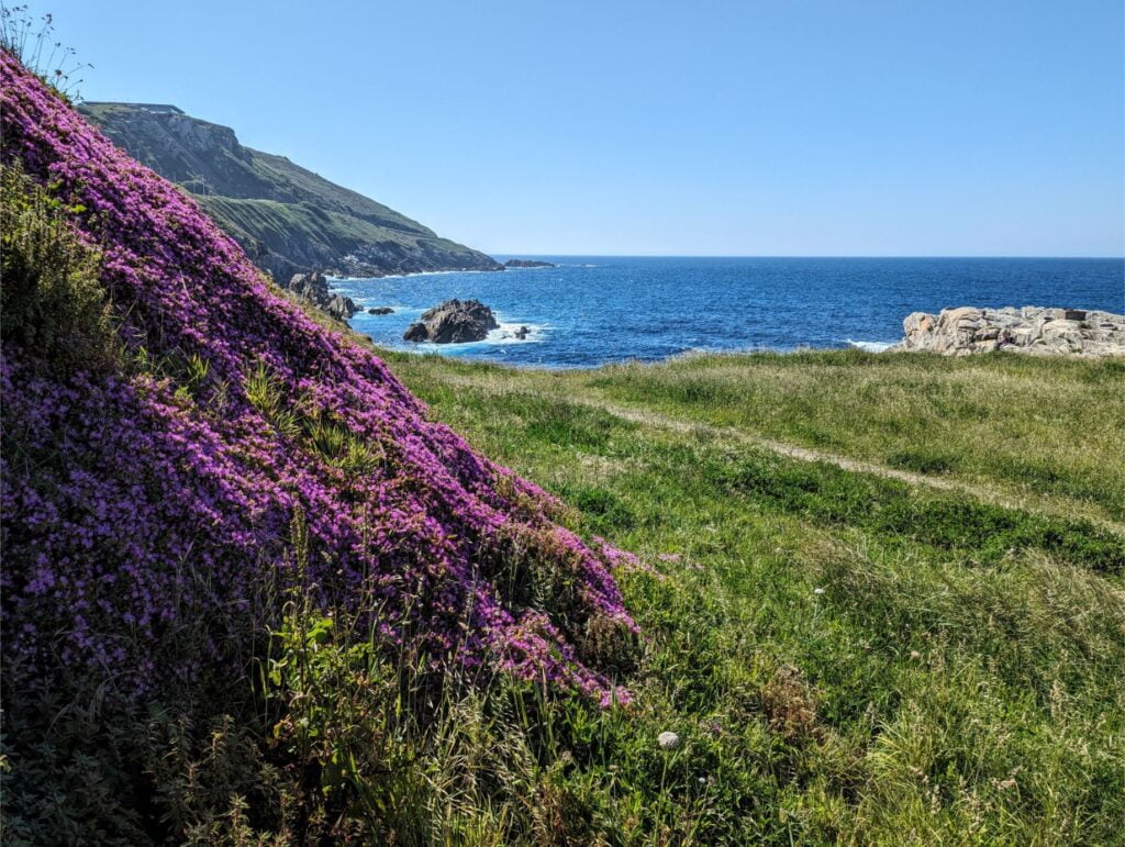 trip to a coruña two travel turtles