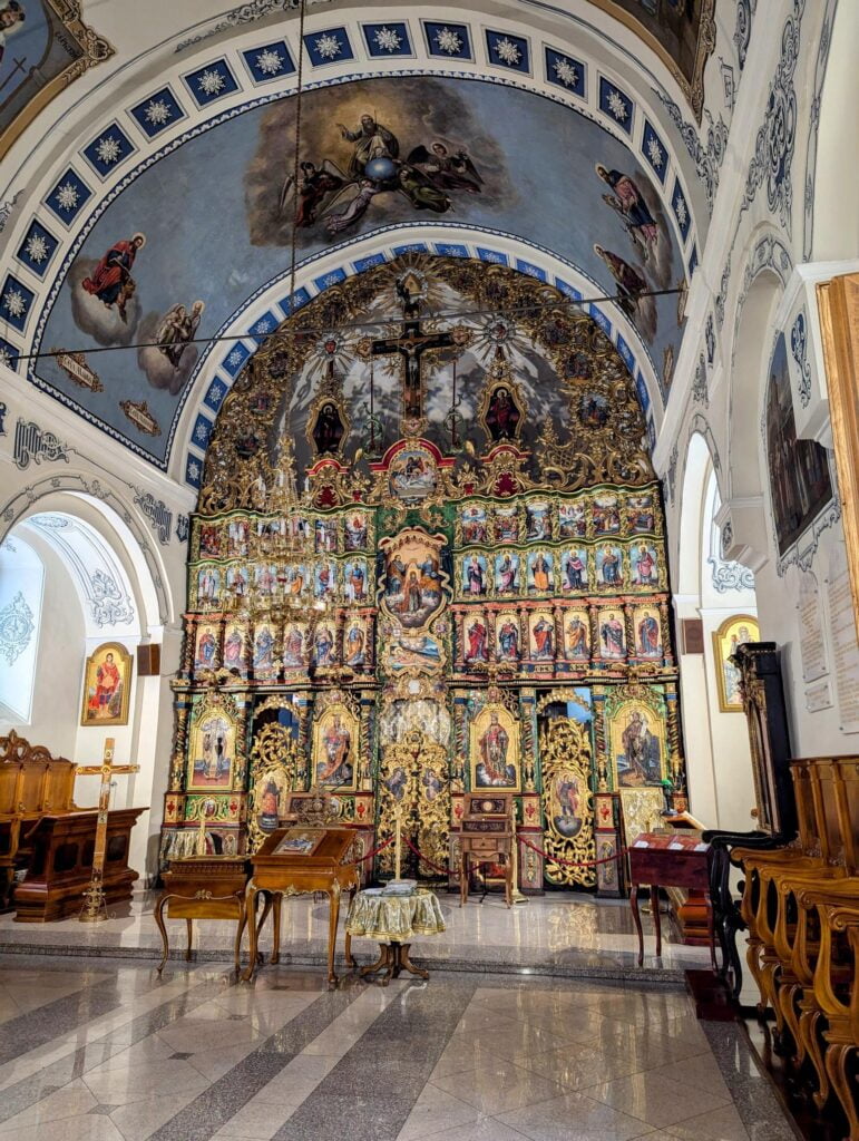 month in belgrade two travel turtles