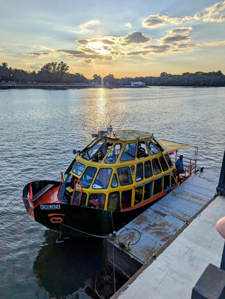 month in belgrade two travel turtles