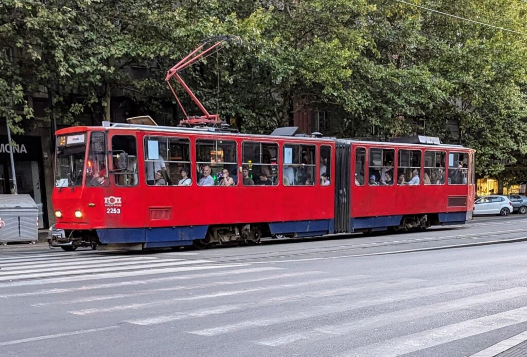 month in belgrade two travel turtles