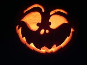 blog update two travel turtles