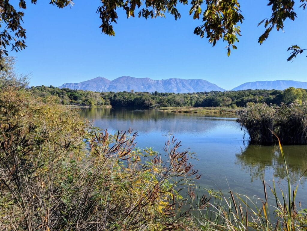 weeks in Tirana two travel turtles