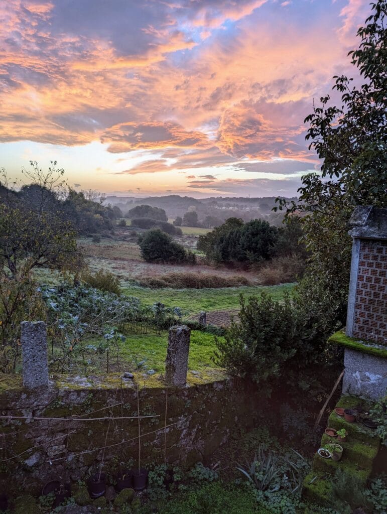 two travel turtles in galicia